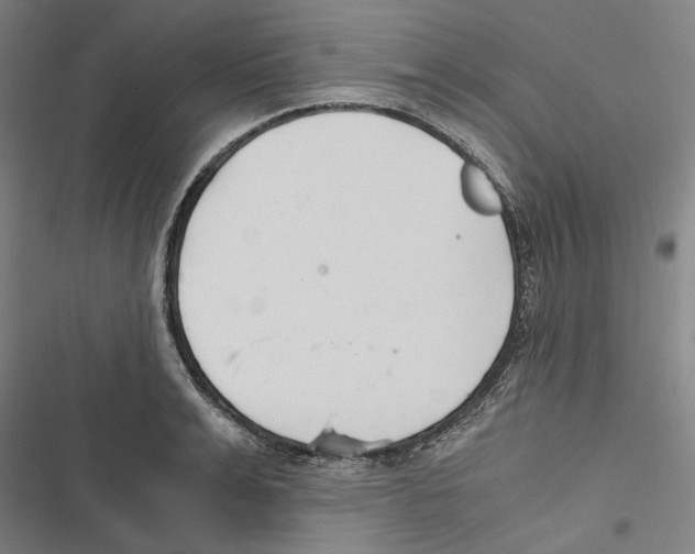 X0000116860991201001191658