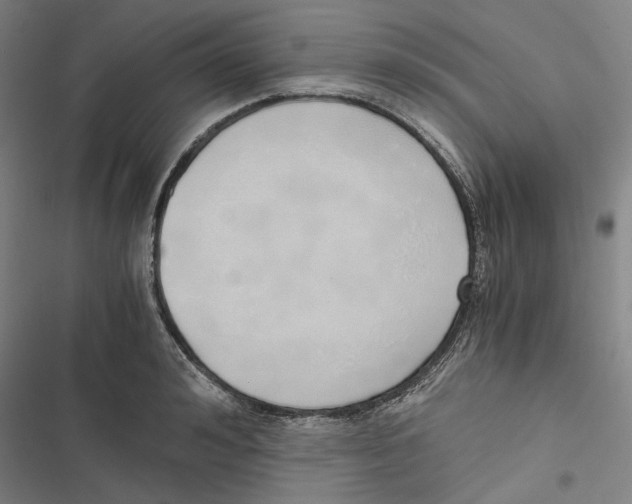 X0000116860992201001191658