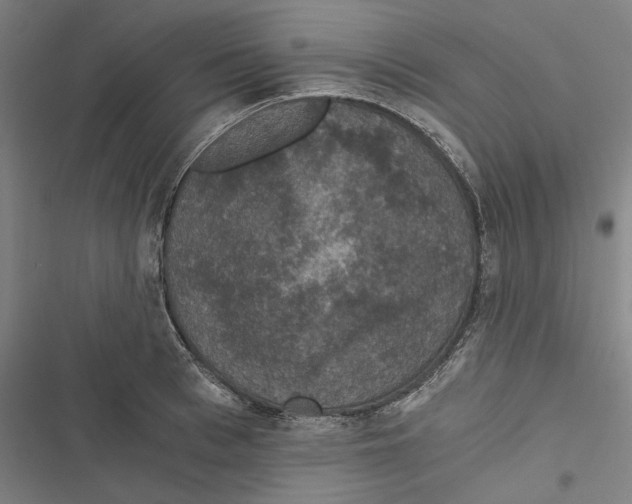 X0000116860993201001191658