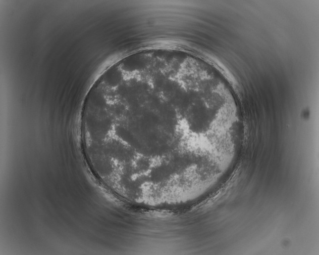 X0000116860994201001191658