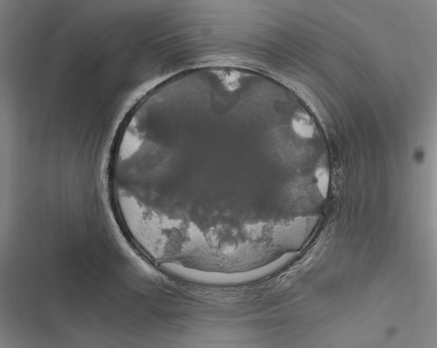 X0000116860995201001191658