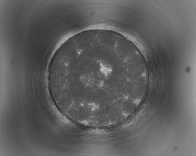 X0000116860998201001191658