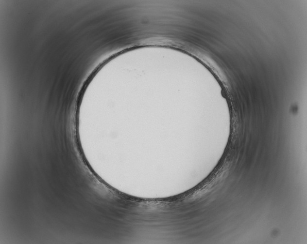 X0000116861000201001191658