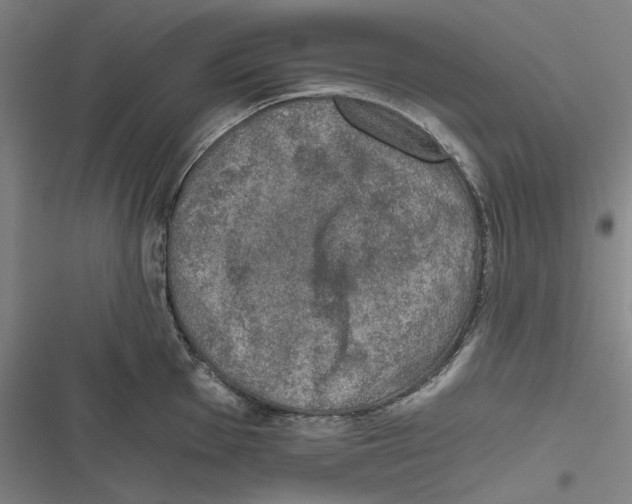 X0000116861001201001191658