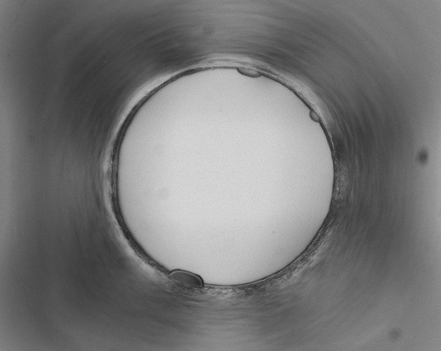 X0000116861003201001191658