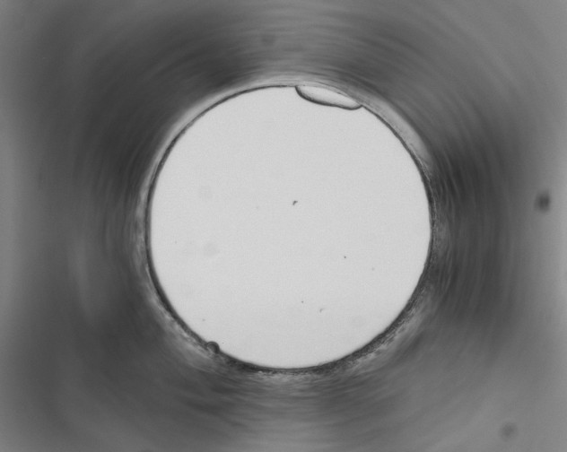 X0000116861004201001191658