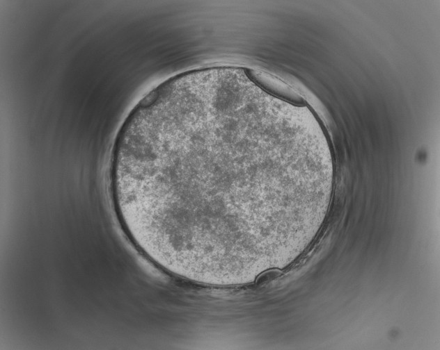 X0000116861005201001191658