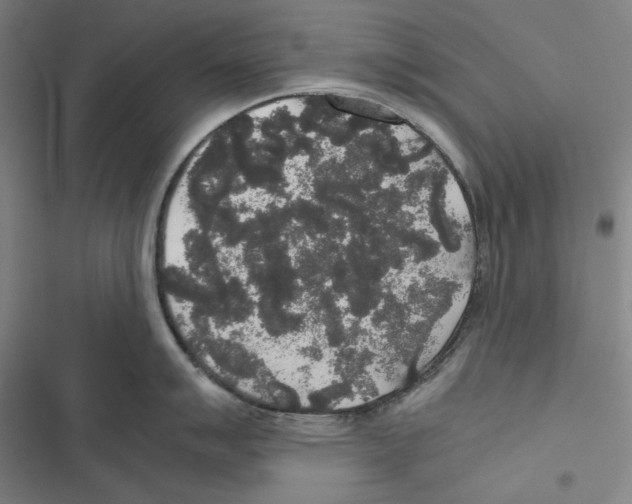 X0000116861007201001191658