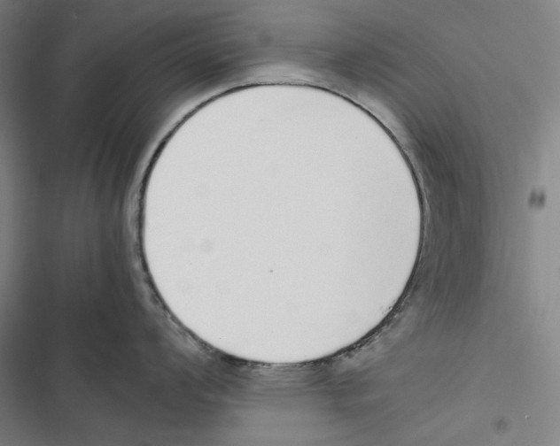 X0000116861008201001191658