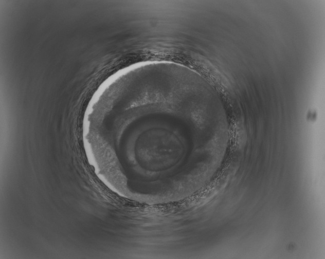 X0000116861009201001191657