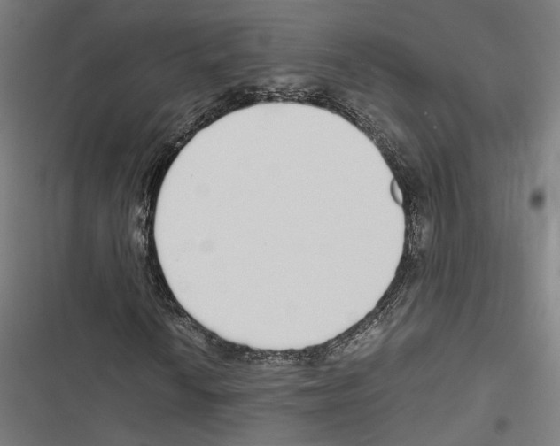 X0000116861010201001191657