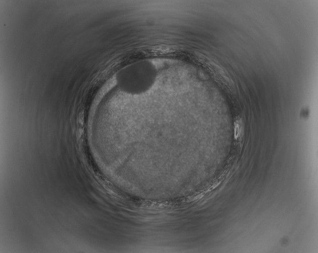 X0000116861011201001191657