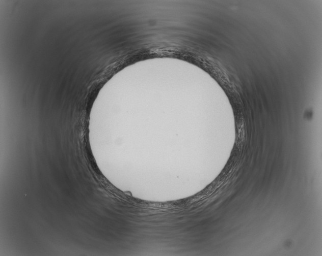 X0000116861012201001191657