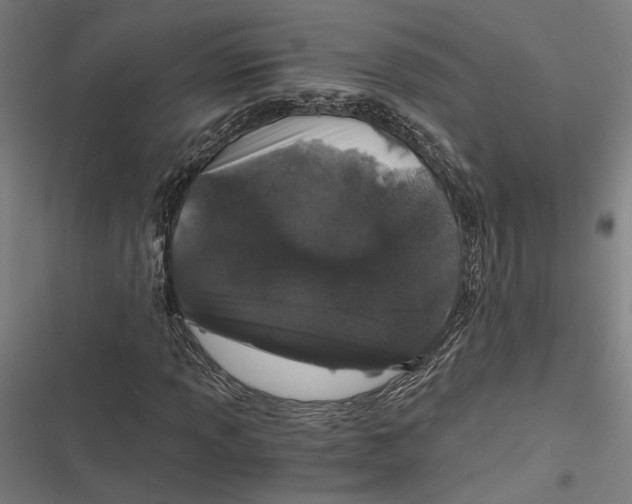 X0000116861013201001191657