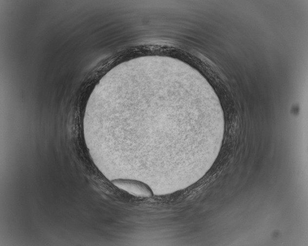 X0000116861014201001191657