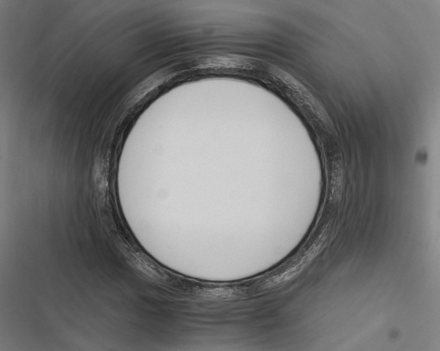 X0000116861017201001191657