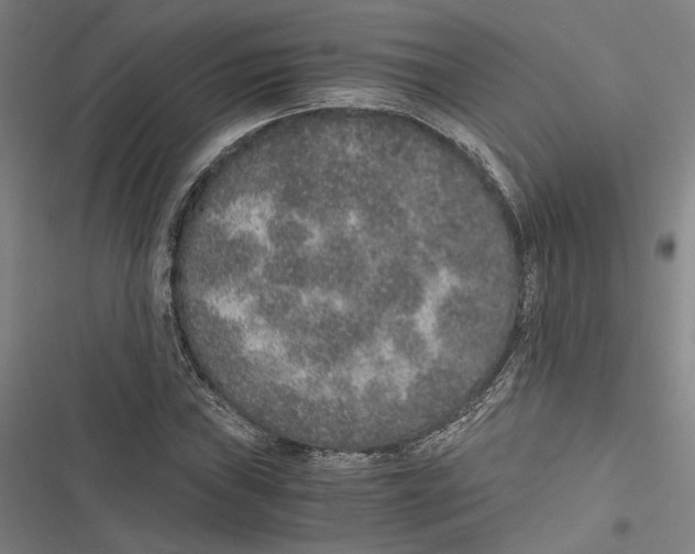 X0000116861019201001191657