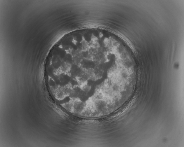 X0000116861023201001191657