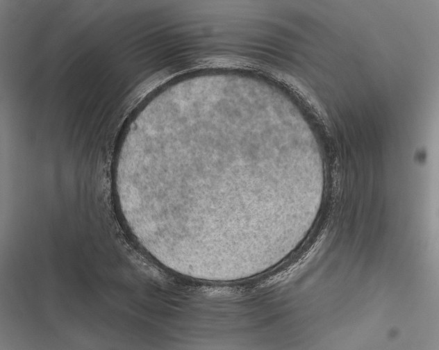 X0000116861025201001191657