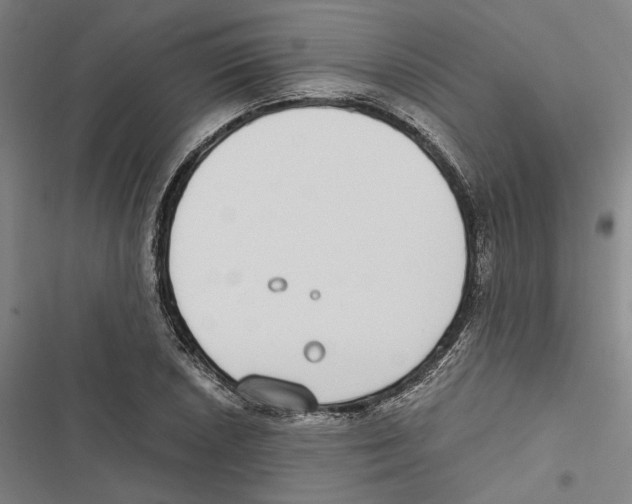 X0000116861026201001191657