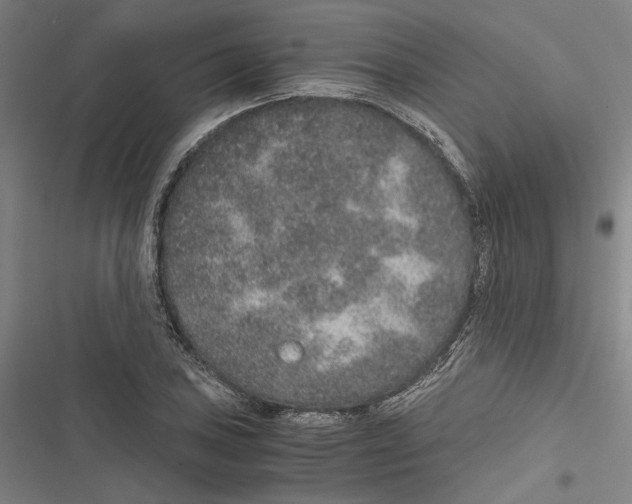 X0000116861027201001191657