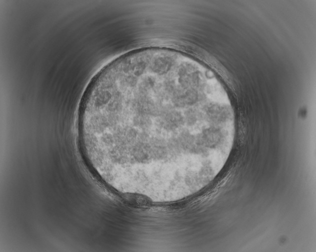 X0000116861028201001191657