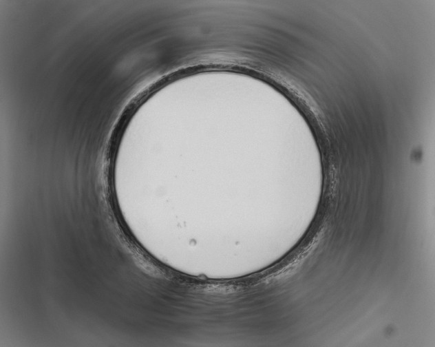 X0000116861029201001191657