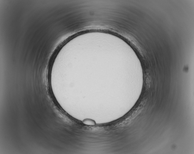 X0000116861030201001191657