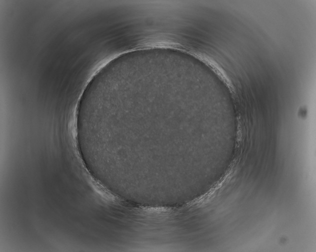 X0000116861031201001191657