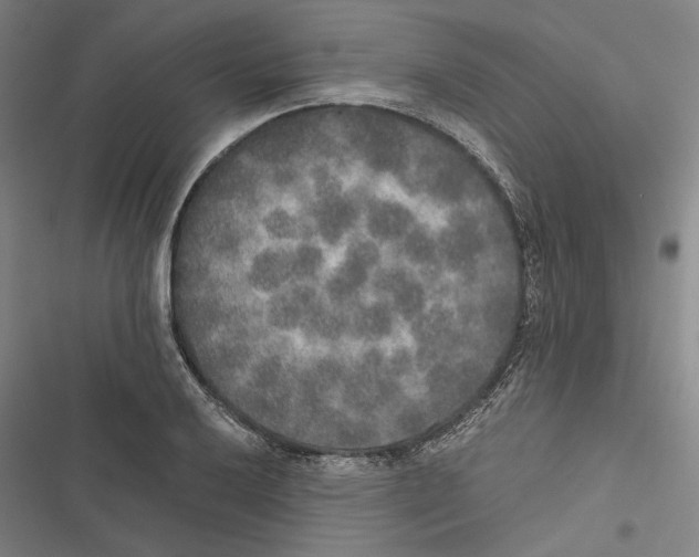 X0000116861032201001191657