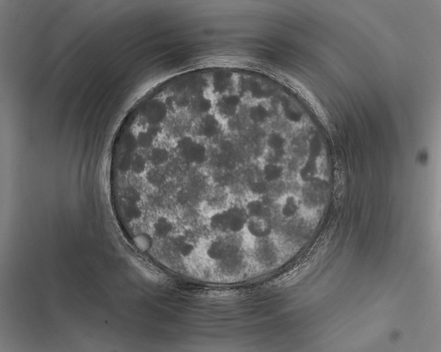 X0000116861035201001191657