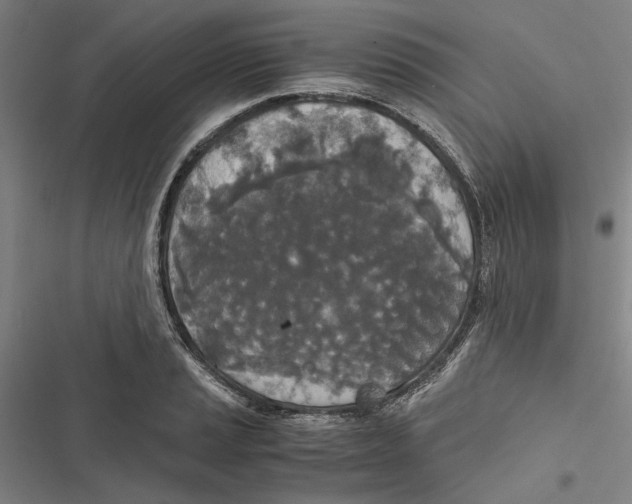 X0000116861037201001191657