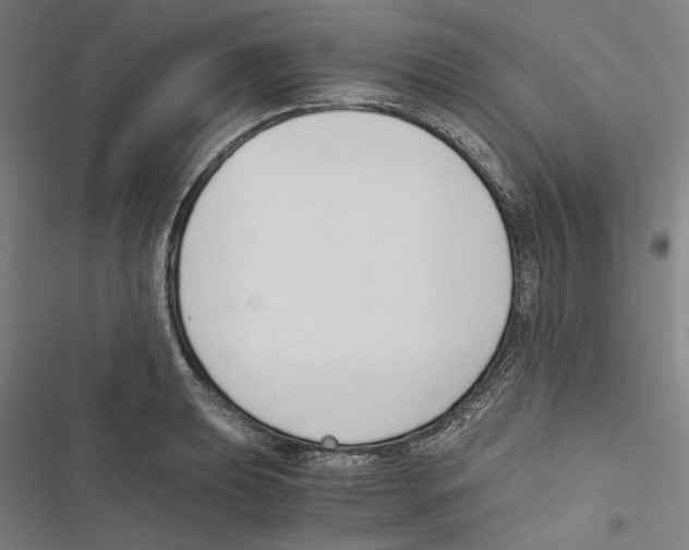 X0000116861039201001191657