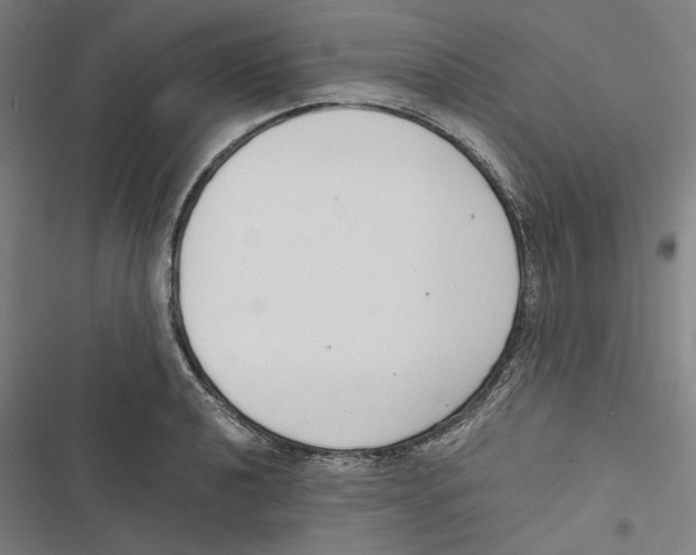 X0000116861040201001191657