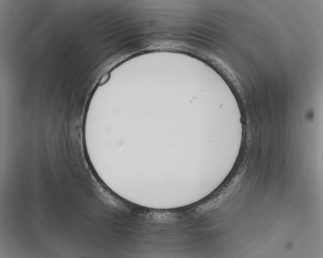 X0000116861041201001191657