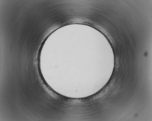 X0000116861042201001191657