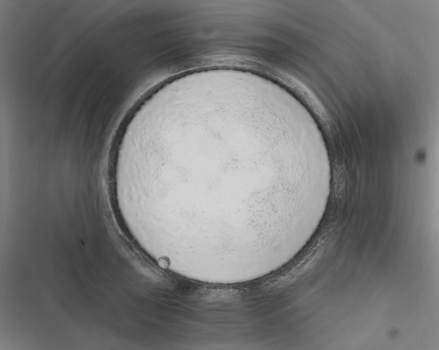 X0000116861043201001191657