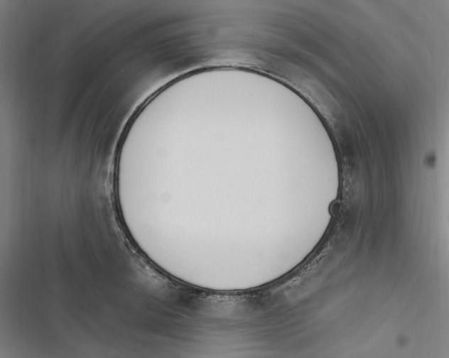 X0000116861044201001191657