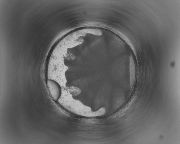 X0000116861045201001191657