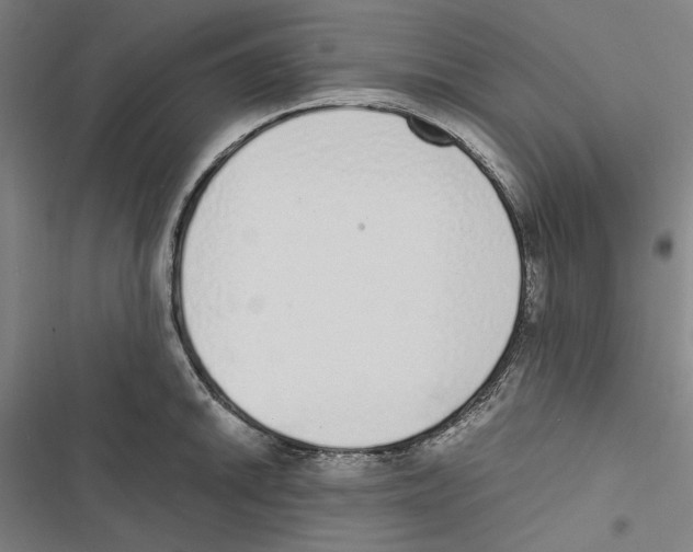 X0000116861046201001191657