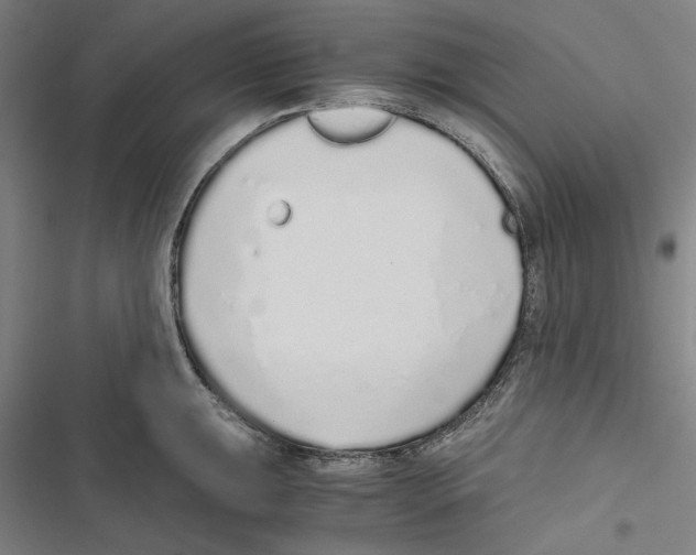 X0000116861047201001191657