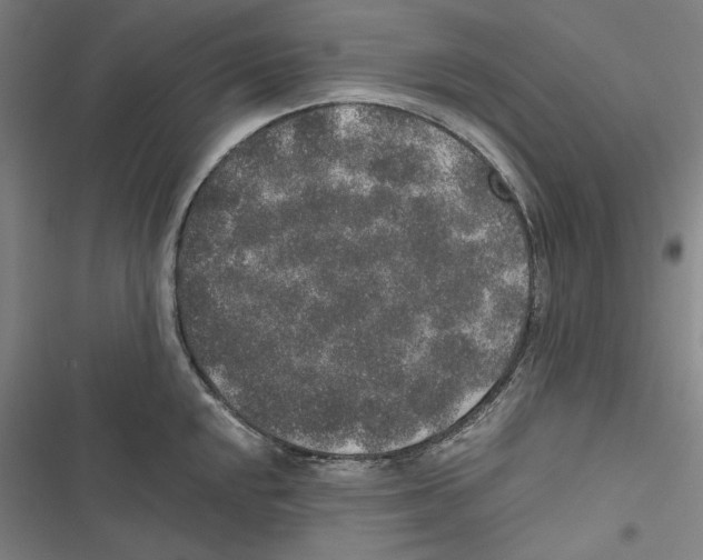 X0000116861048201001191657