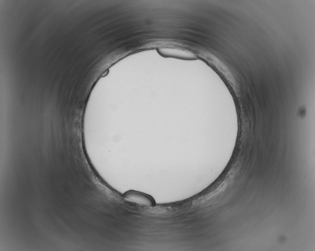 X0000116861049201001191657