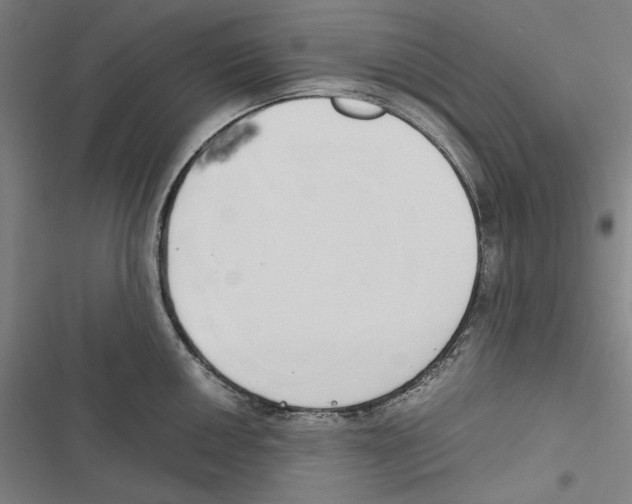 X0000116861050201001191657