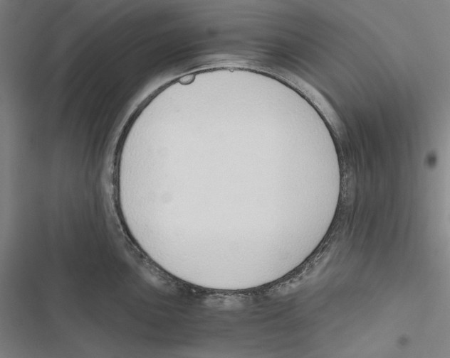 X0000116861051201001191658