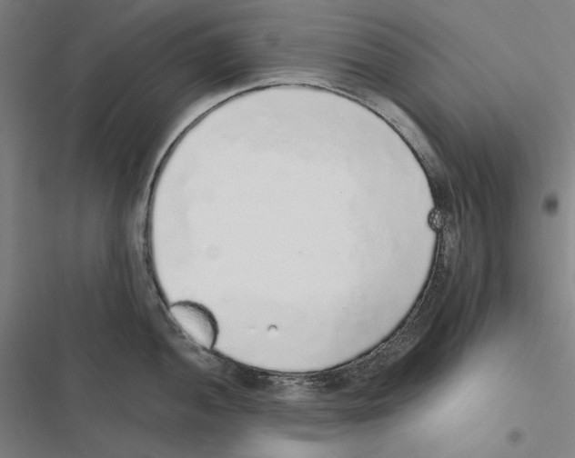 X0000116861052201001191658