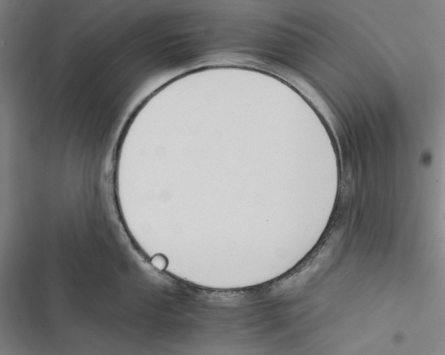 X0000116861053201001191658