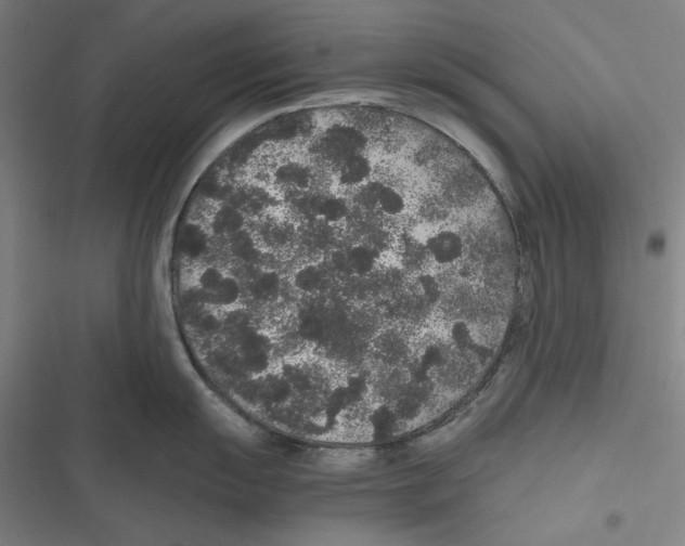 X0000116861055201001191658