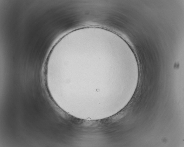 X0000116861056201001191658