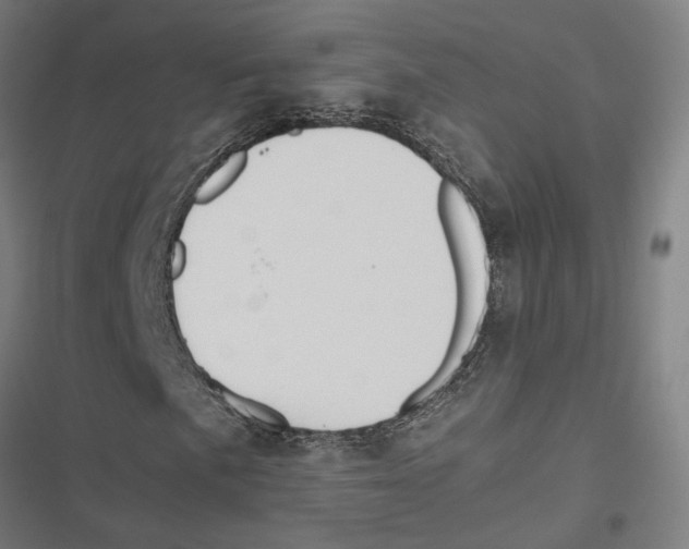 X0000116861057201001191657